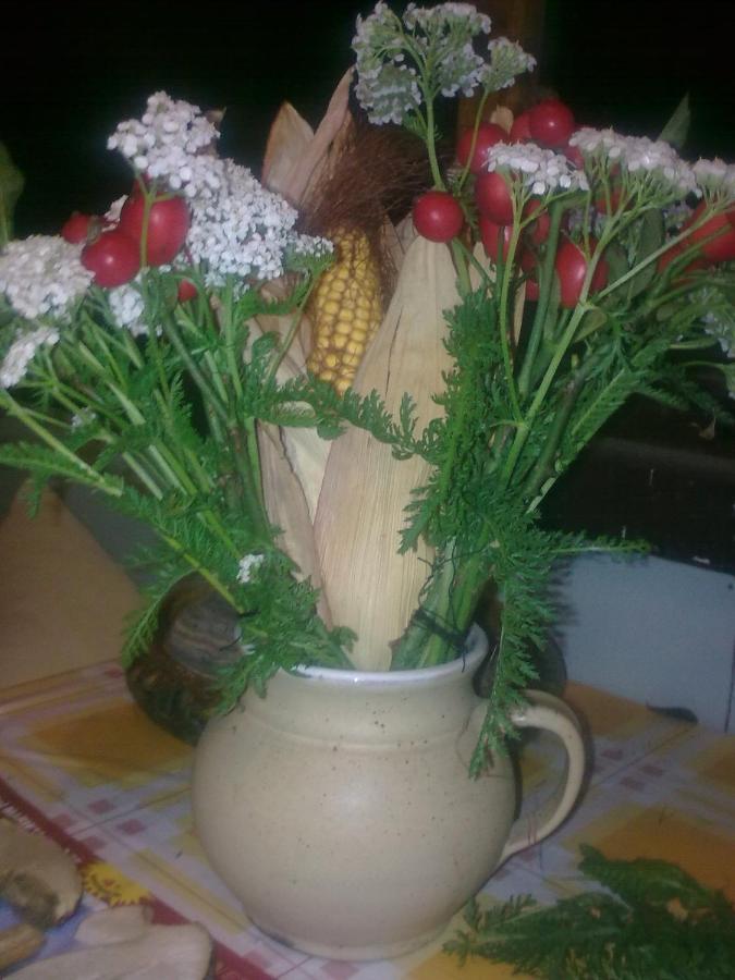 Chata Friday Ktova ภายนอก รูปภาพ